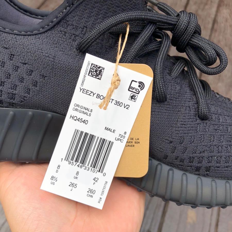 Adidas Yeezy Boost 350 V2 Onyx